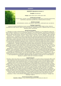 Equiseto - Farmacia S. Antonio – Brescia