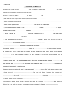 L`apparato circolatorio