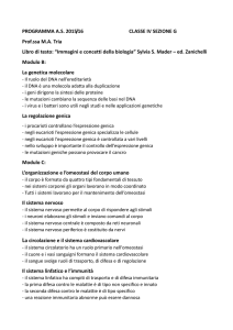 20160530175626_4G_programma_scienzenaturali