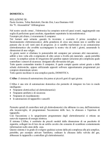 Relazione - IIS Alessandrini