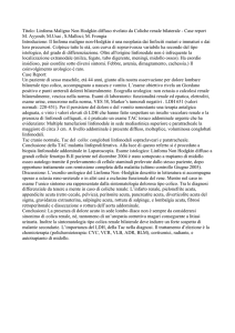Istituto: S