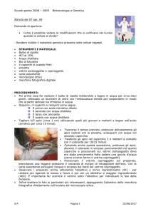 Attività del 25 nov - ComprensivoTurbigo