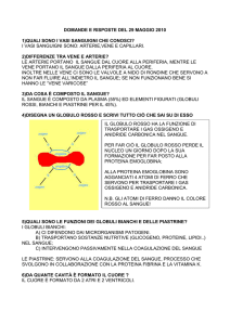 alcune domande e risposte sul sangue