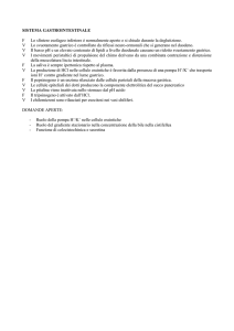 domande GI