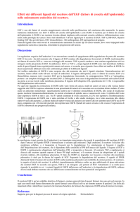 Effetti dei differenti ligandi del recettore dell`EGF