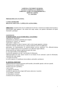 SAPIENZA UNIVERSITÀ DI ROMA