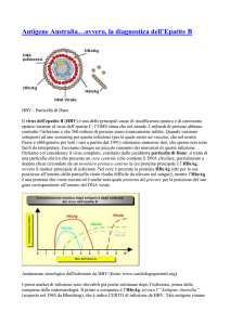 Antigene Australia…ovvero, la diagnostica dell`Epatite B HBV