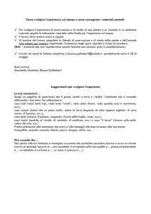 Come svolgere esperienza