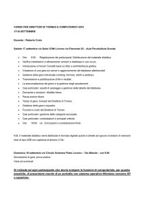 ALLEGATO B Programma Corso DT e