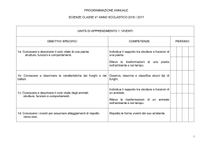 Classe 4