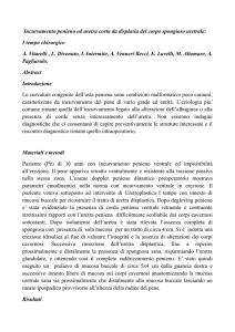 Incurvamento penieno ed uretra corta da displasia del corpo