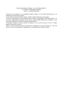 relazione dell` opera “ la vita del bosco”