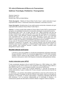 La malattia di Charcot-Marie-Tooh (CMT) comprende un gruppo