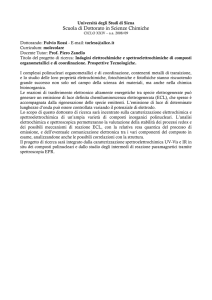 progetto di ricerca relativo ai tre anni di dottorato