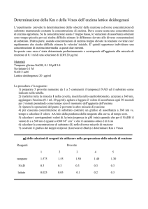 protocollo esercitazione