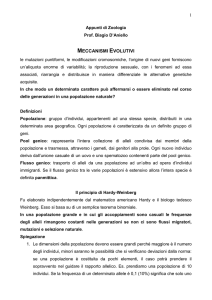 EVOLUZIONE