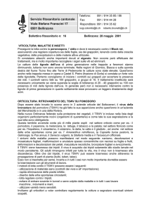 Frutticoltura