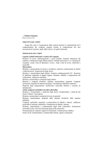 Prof. Luigi Lucini