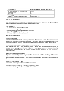 Biologia MOLECOLARE DEGLI EUCARIOTI