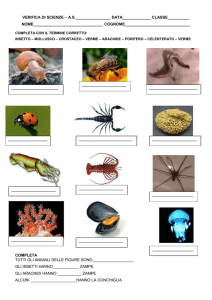 verifica invertebrati