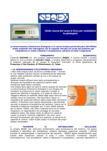 SPERIMENTAZIONE SEQEX A PERUGIA in