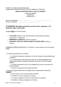 Test gruppo B