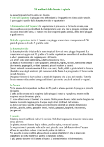 Gli ambienti della foresta tropicale - Digilander