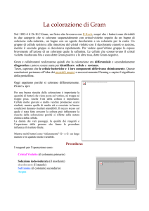 La colorazione di Gram