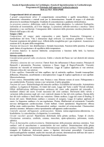 Versione in formato Word