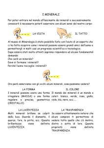 i minerali - Area Sostegno