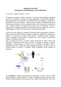 Osteogenesi, osteoinduzione, osteoconduzione