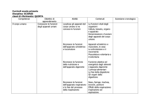 Curricoli scuola primaria