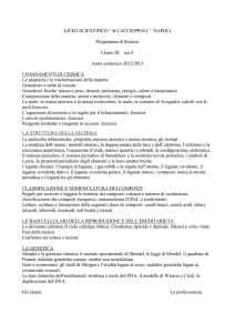 LICEO SCIENTIFICO “ R.CACCIOPPOLI “ NAPOLI Programma di