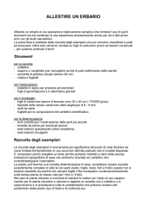 ALLESTIRE UN ERBARIO
