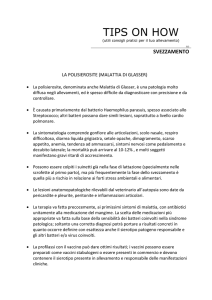 La polisierosite