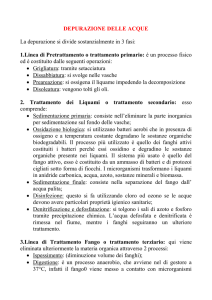 Depurazione delle acque