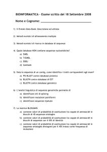 scritto2008_5