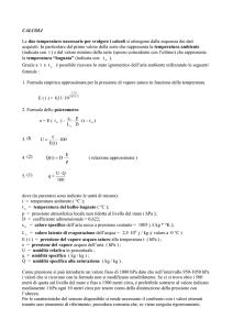 calcoli - ACE-SAP