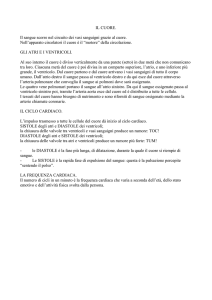 il cuore
