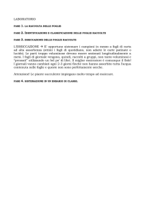 laboratorio - Share Dschola
