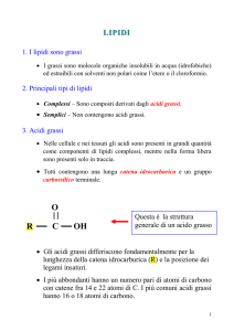 LIPIDI