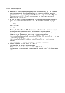Esercizi di algebra superiore