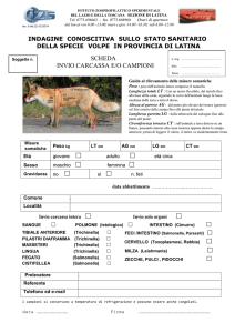 Scheda conoscitiva stato sanitario della specie
