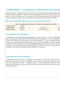 I CARBOIDRATI - La digestione e l`assorbimento dei carboidrati