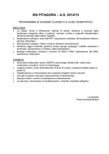 documento finale di scienze della terra