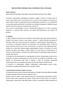 basi anatomo-funzionali della coscienza e della vigilanza