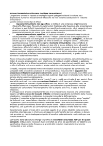 sistono farmaci che rafforzano le difese immunitarie