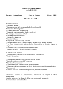 Liceo Scientifico Caccioppoli A.Sc. 2013