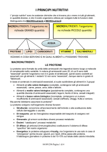 i principi nutritivi