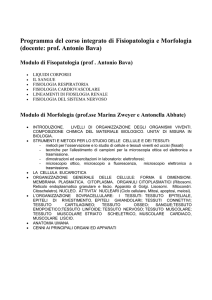 CI Elementi di fisiopatologia e morfologia umana